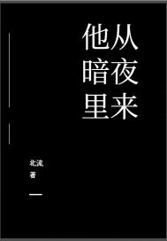 他从暗夜里来小说免费阅读