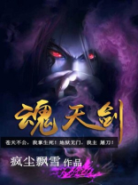 魂天剑 小说