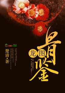 龙图骨鉴 小说