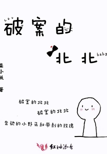 破案的北北男主是谁
