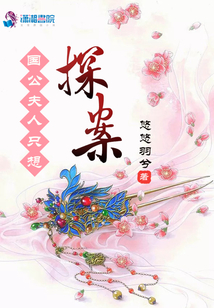 国公夫人只想探案txt