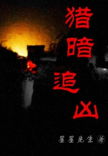 猎暗追凶txt
