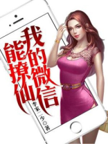 我的微信能撩仙在线阅读