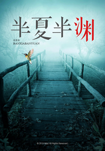 半夏半渊小说