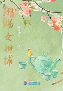御赐女神捕沈夏安免费阅读