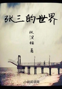 世界上有没有叫张三的歌