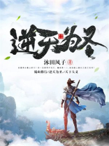 逆天斗圣 小说