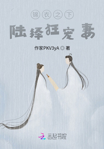 锦衣之下2陆绎宠妻