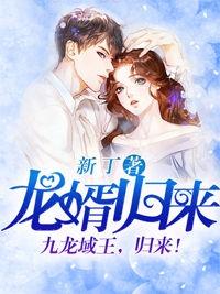 龙婿归来短剧视频全集免费