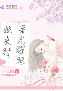 她来时星光耀眼书包网