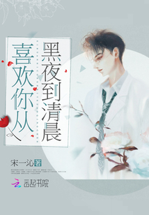 喜欢你从黑夜到清晨歌词