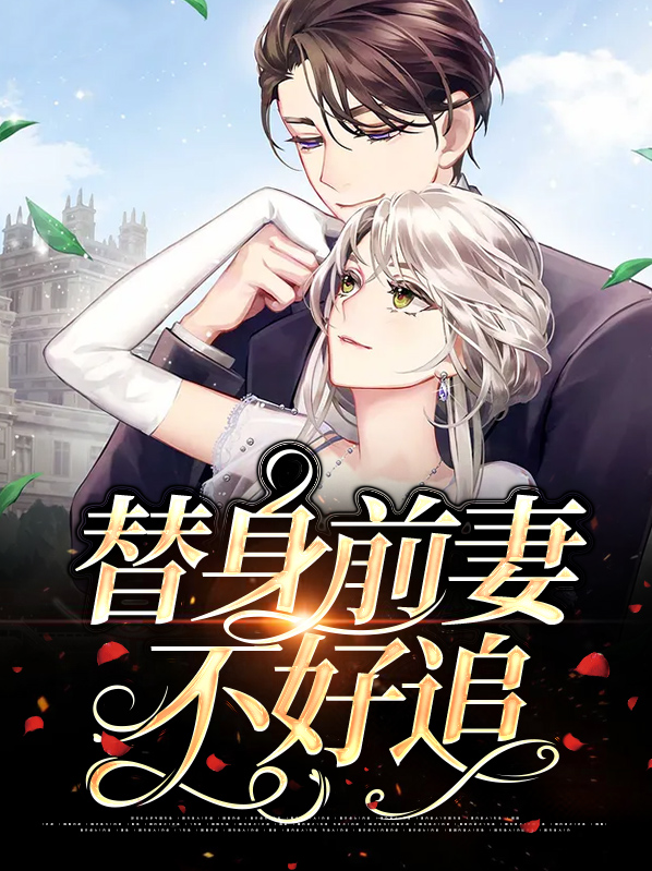 前妻不好追 小说