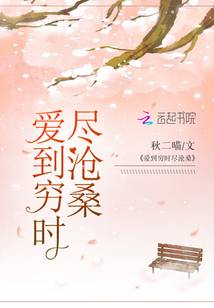 爱到穷时尽沧桑小说