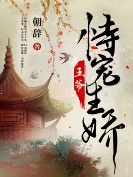 娇王爷又宠又撩电视剧