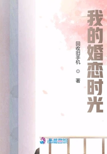 我的婚恋时光乐文小说网