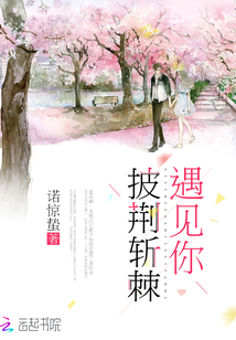 披荆斩棘遇见你全文免费阅读
