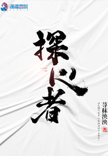 探心者 小说