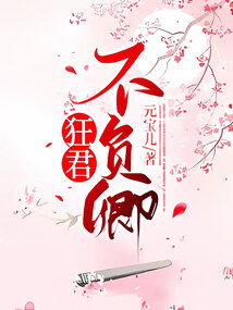 请君不负卿西靖篇