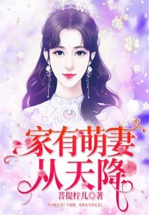 家有萌妻从天降 小说