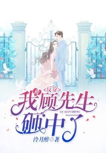反穿:我被顾先生砸中了免费阅读