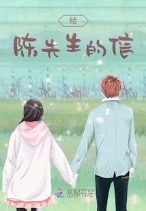 写给陈先生的情话