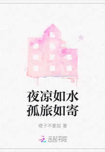 夜凉如水孤旅如寄什么意思