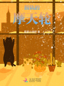摩天轮轨道