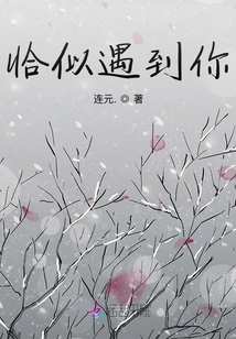 恰似遇到你季君行