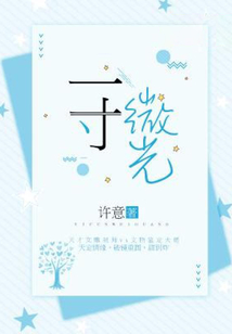 一寸微光意思