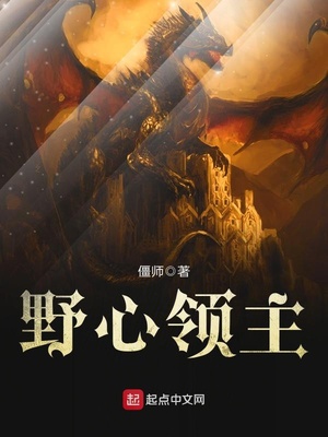 野心领主类似小说