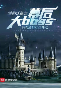 霍格沃兹之幕后大boss 小说