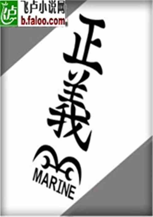 海贼王之正义 书林文学