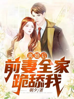 官场:离婚后,先斩前妻全家的小说