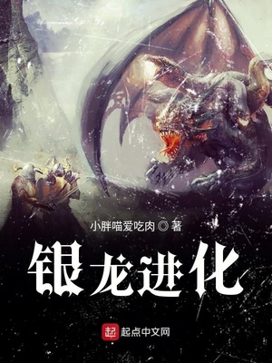银龙进化 小说