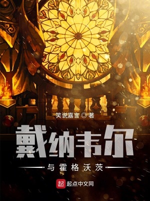 戴纳韦尔与霍格沃茨哪个好