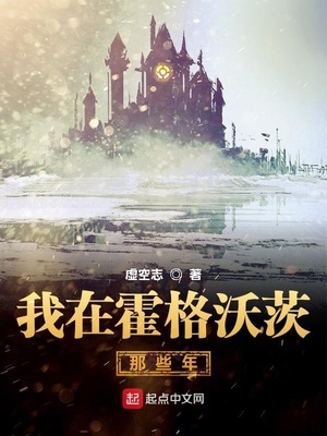 我在霍格沃茨那些年免费阅读