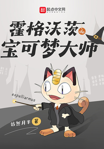 霍格沃茨的宝可梦训练师小说