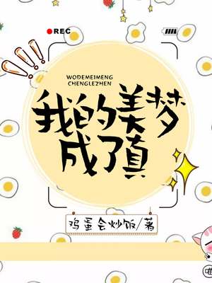 我的美梦成了真免费