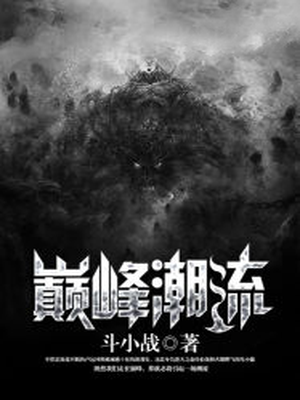 巅峰时代的意思