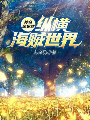 神奇宝贝球小说