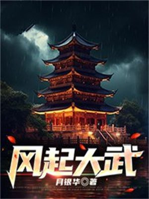 风起系列