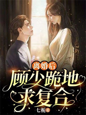 离婚后前夫求复合电视剧