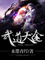武道天途 小说