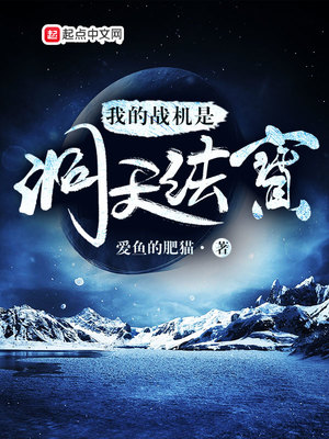我的战机是洞天法宝起点