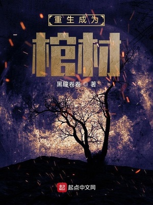 重生之我变成了棺材TXT下载