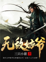 无敌姑爷 三只小猪