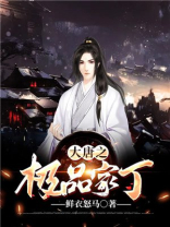 大唐极品家丁txt