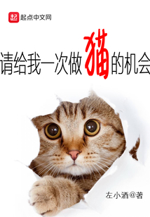 请给我猫的作文