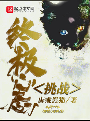 终极挑战意思