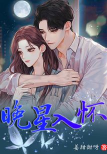 晚星入府小说